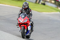 Oulton-Park-21st-March-2020;PJ-Motorsport-Photography-2020;anglesey;brands-hatch;cadwell-park;croft;donington-park;enduro-digital-images;event-digital-images;eventdigitalimages;mallory;no-limits;oulton-park;peter-wileman-photography;racing-digital-images;silverstone;snetterton;trackday-digital-images;trackday-photos;vmcc-banbury-run;welsh-2-day-enduro